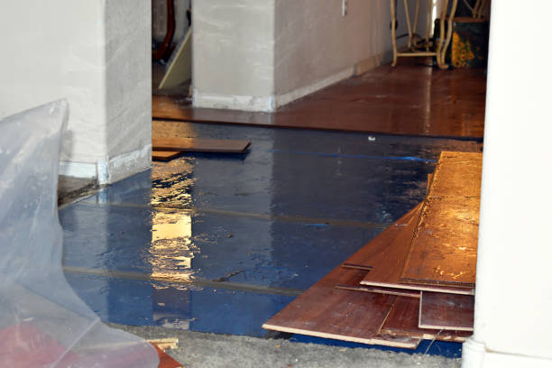 Professional Water Extraction technician working in Derby, CT